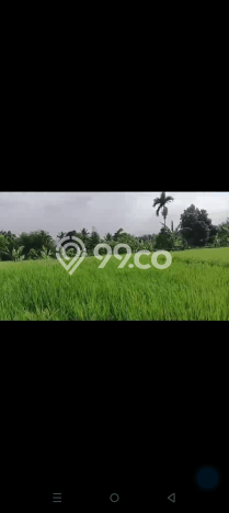 Lahan untuk Dijual Lokasi Cidahu, Sukabumi Luas 14000m2 AJB Lahan untuk Dijual Lokasi Cidahu, Sukabumi Luas 14000m2 AJB