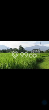 Lahan untuk Dijual Lokasi Cidahu, Sukabumi Luas 14000m2 AJB Lahan untuk Dijual Lokasi Cidahu, Sukabumi Luas 14000m2 AJB