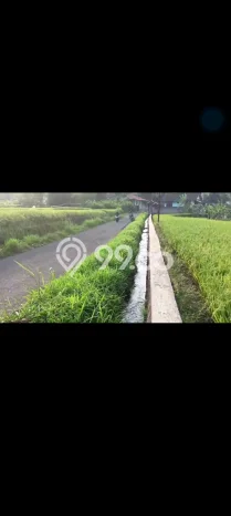 Dijual Tanah di Cicurug Sukabumi Luas 50000m2 SHM Dijual Tanah di Cicurug Sukabumi Luas 50000m2 SHM