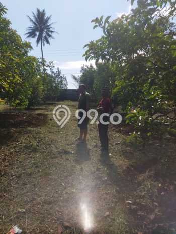 Untuk Dijual Tanah di Parakan Salak Sukabumi Luas 120000m2 SHM Untuk Dijual Tanah di Parakan Salak Sukabumi Luas 120000m2 SHM
