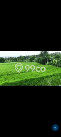 Lahan untuk Dijual Lokasi Cidahu, Sukabumi Luas 14000m2 AJB Lahan untuk Dijual Lokasi Cidahu, Sukabumi Luas 14000m2 AJB