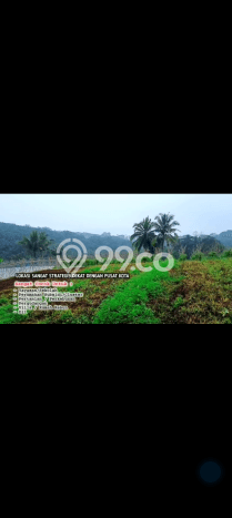 Lahan Dijual Lokasi Parakan Salak, Sukabumi dengan Luas Tanah 3000m2 dan Status SHM Lahan Dijual Lokasi Parakan Salak, Sukabumi dengan Luas Tanah 3000m2 dan Status SHM
