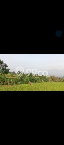 Dijual Tanah di Cicurug Sukabumi Luas 50000m2 SHM Dijual Tanah di Cicurug Sukabumi Luas 50000m2 SHM