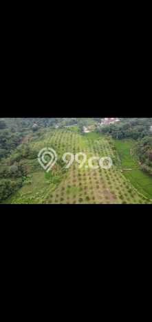 Untuk Dijual Tanah di Parakan Salak Sukabumi Luas 120000m2 SHM Untuk Dijual Tanah di Parakan Salak Sukabumi Luas 120000m2 SHM