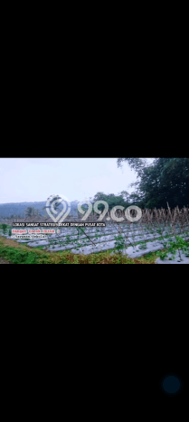 Lahan Dijual Lokasi Parakan Salak, Sukabumi dengan Luas Tanah 3000m2 dan Status SHM Lahan Dijual Lokasi Parakan Salak, Sukabumi dengan Luas Tanah 3000m2 dan Status SHM