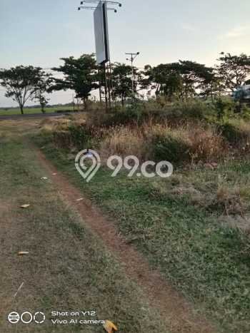 Dijual Tanah di Subang Subang Luas 6e+06m2 SHM Dijual Tanah di Subang Subang Luas 6e+06m2 SHM