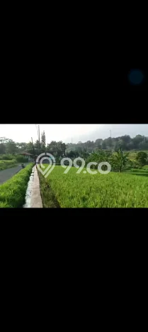 Dijual Tanah di Cicurug Sukabumi Luas 50000m2 SHM Dijual Tanah di Cicurug Sukabumi Luas 50000m2 SHM