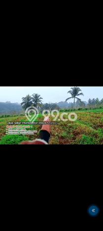 Lahan Dijual Lokasi Parakan Salak, Sukabumi dengan Luas Tanah 3000m2 dan Status SHM Lahan Dijual Lokasi Parakan Salak, Sukabumi dengan Luas Tanah 3000m2 dan Status SHM