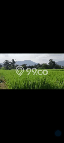 Lahan untuk Dijual Lokasi Cidahu, Sukabumi Luas 14000m2 AJB Lahan untuk Dijual Lokasi Cidahu, Sukabumi Luas 14000m2 AJB