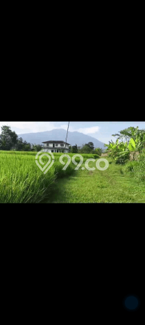 Lahan untuk Dijual Lokasi Cidahu, Sukabumi Luas 14000m2 AJB Lahan untuk Dijual Lokasi Cidahu, Sukabumi Luas 14000m2 AJB