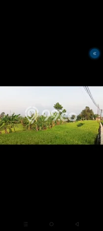 Dijual Tanah di Cicurug Sukabumi Luas 50000m2 SHM Dijual Tanah di Cicurug Sukabumi Luas 50000m2 SHM