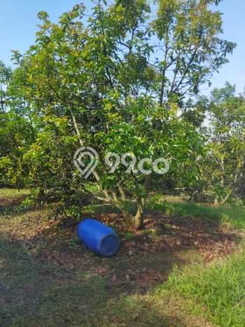 Untuk Dijual Tanah di Parakan Salak Sukabumi Luas 120000m2 SHM Untuk Dijual Tanah di Parakan Salak Sukabumi Luas 120000m2 SHM