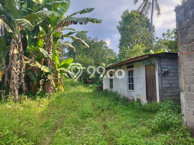 Tanah Kavling Dijual di Boja, Semarang dengan Luas Tanah 2000m2 Tanah Kavling Dijual di Boja, Semarang dengan Luas Tanah 2000m2