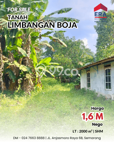 Tanah Kavling Dijual di Boja, Semarang dengan Luas Tanah 2000m2 Tanah Kavling Dijual di Boja, Semarang dengan Luas Tanah 2000m2
