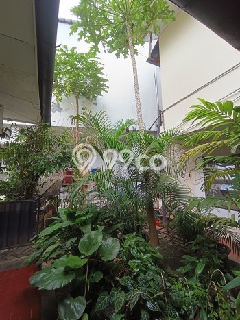 Siap Huni Rumah Mewah 7 Kamar di Menteng Dekat ke Mana Saja Siap Huni Rumah Mewah 7 Kamar di Menteng Dekat ke Mana Saja