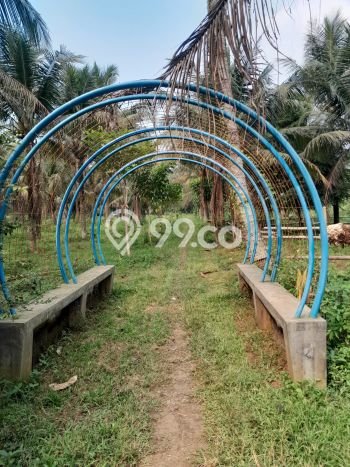 Tanah Dijual Lokasi Bogor Barat, Bogor Luas 20060m2 Legalitas Aman Tanah Dijual Lokasi Bogor Barat, Bogor Luas 20060m2 Legalitas Aman