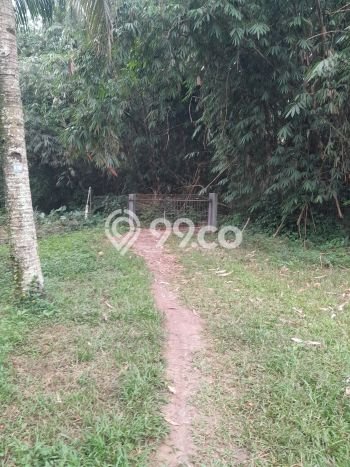 Tanah Dijual Lokasi Bogor Barat, Bogor Luas 20060m2 Legalitas Aman Tanah Dijual Lokasi Bogor Barat, Bogor Luas 20060m2 Legalitas Aman