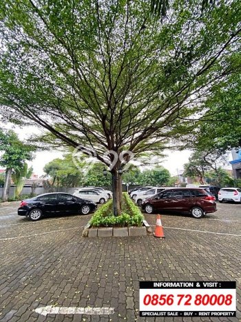 Untuk Dijual Tanah 1338m2 di Warung Buncit, Jakarta Selatan Untuk Dijual Tanah 1338m2 di Warung Buncit, Jakarta Selatan