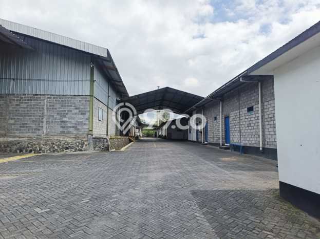 Gudang Bagus Dijual di Salatiga Salatiga Strategis Cocok untuk Kembangkan Bisnis Gudang Bagus Dijual di Salatiga Salatiga Strategis Cocok untuk Kembangkan Bisnis