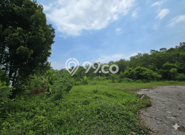 Dijual Tanah Lokasi Marunda, Jakarta Utara Seluas 3000m2 Dijual Tanah Lokasi Marunda, Jakarta Utara Seluas 3000m2