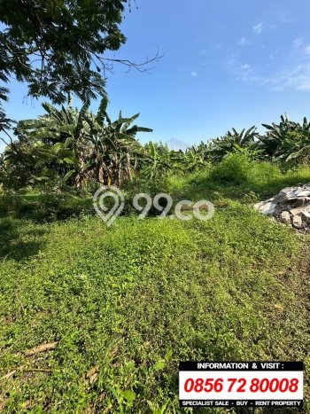 Tanah Lokasi Strategis Kawasan Cilandak, Luas 5386m2m², Dekat ke Pusat Kota Tanah Lokasi Strategis Kawasan Cilandak, Luas 5386m2m², Dekat ke Pusat Kota