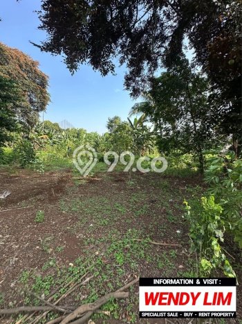 Tanah Lokasi Strategis Kawasan Cilandak, Luas 5386m2m², Dekat ke Pusat Kota Tanah Lokasi Strategis Kawasan Cilandak, Luas 5386m2m², Dekat ke Pusat Kota