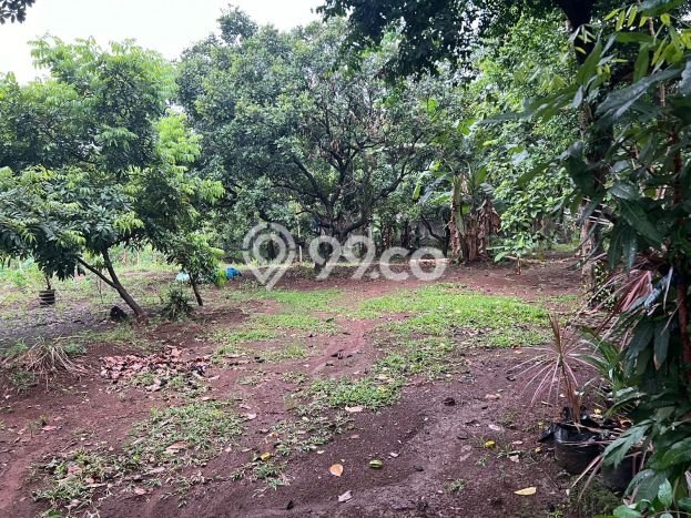 Jarang Ada! Tanah di Ciputat Timur Punya Luas 2630m2 SHM Jarang Ada! Tanah di Ciputat Timur Punya Luas 2630m2 SHM