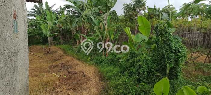 Lahan Dijual Lokasi Bogor Barat, Bogor dengan Luas Tanah 1200m2 dan Status SHM Lahan Dijual Lokasi Bogor Barat, Bogor dengan Luas Tanah 1200m2 dan Status SHM