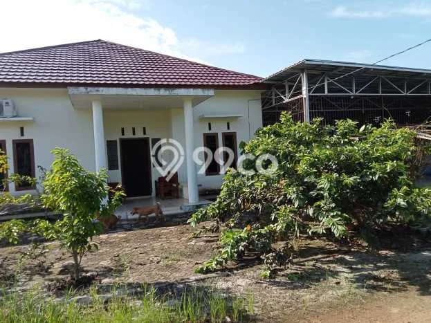Tanah di Pangkalan Baru, Bangka Tengah Luas 52880m2 Dijual Segera Tanah di Pangkalan Baru, Bangka Tengah Luas 52880m2 Dijual Segera