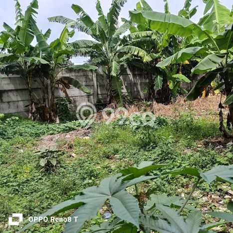 LOKASI TERBAIK! Gudang di Serpong Utara, Luas 300m2m², Jalan Strategis LOKASI TERBAIK! Gudang di Serpong Utara, Luas 300m2m², Jalan Strategis