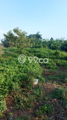 Tanah Kavling di Legok Dijual dengan Luas 70000m2 Tanah Kavling di Legok Dijual dengan Luas 70000m2