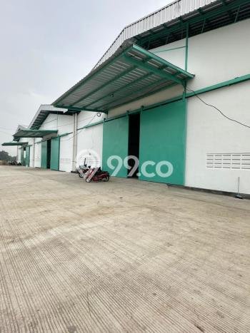 Area Strategis! Disewakan Gudang Lokasi Rangkasbitung, Lebak Cocok untuk Bisnis Area Strategis! Disewakan Gudang Lokasi Rangkasbitung, Lebak Cocok untuk Bisnis