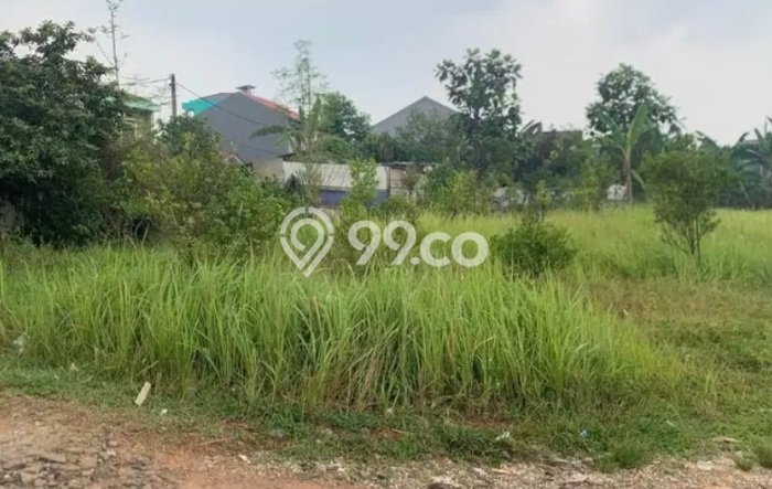 Untuk Dijual Tanah di Cisauk Tangerang Luas 33404m2 - Untuk Dijual Tanah di Cisauk Tangerang Luas 33404m2 -