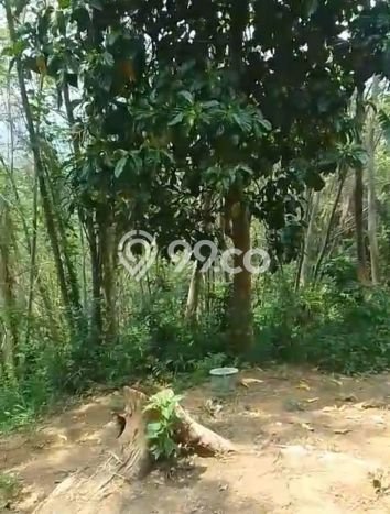 Dijual Tanah di Bogor Timur Bogor Luas 66000m2 SHM Dijual Tanah di Bogor Timur Bogor Luas 66000m2 SHM