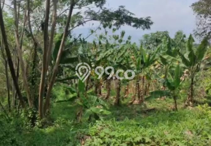 Dijual Tanah di Bogor Timur Bogor Luas 66000m2 SHM Dijual Tanah di Bogor Timur Bogor Luas 66000m2 SHM