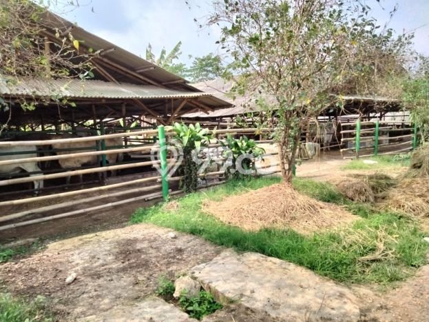 Kavling Tanah di Purwakarta Dijual Luas 143000m2 Legalitas SHM Kavling Tanah di Purwakarta Dijual Luas 143000m2 Legalitas SHM