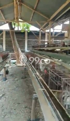 Dijual Tanah di Bogor Timur Bogor Luas 66000m2 SHM Dijual Tanah di Bogor Timur Bogor Luas 66000m2 SHM