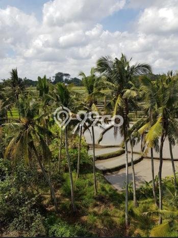Komersial Dijual di Badung LT 2130m2 & LB 3211m2 Lokasi Terbaik! Komersial Dijual di Badung LT 2130m2 & LB 3211m2 Lokasi Terbaik!