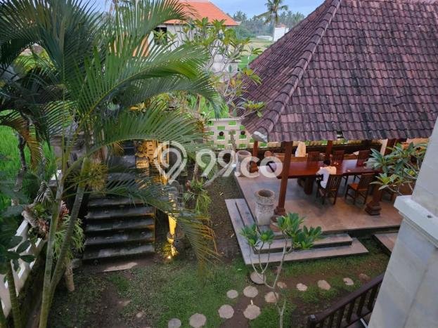 Jual Cepat Hunian Elegan Klasik di Gianyar Jual Cepat Hunian Elegan Klasik di Gianyar