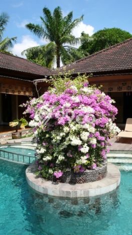 Dijual Rumah Elit Exclusive di Denpasar Timur, Denpasar Dijual Rumah Elit Exclusive di Denpasar Timur, Denpasar