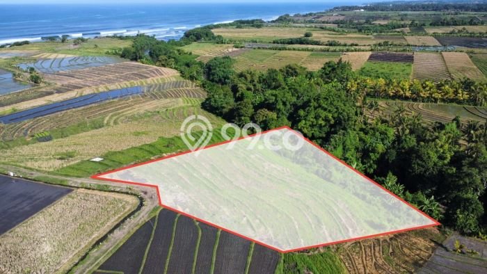 Tanah di Kelating, Luas 11500m², Lokasi Strategis, Cocok untuk Perumahan Tanah di Kelating, Luas 11500m², Lokasi Strategis, Cocok untuk Perumahan