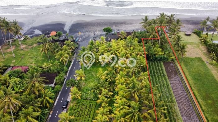 Tanah Siap Bangun Dijual di Tabanan Punya Luas 3000m2 Tanah Siap Bangun Dijual di Tabanan Punya Luas 3000m2