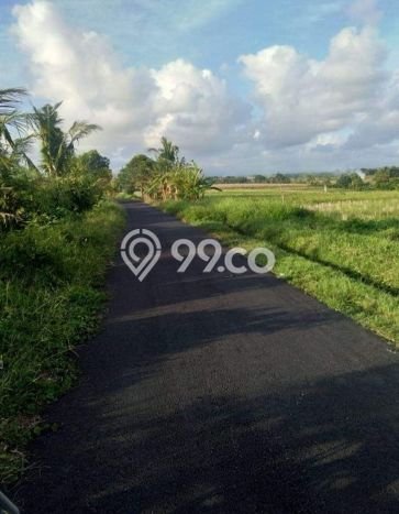Tanah Dijual Area Strategis di Cemagi Badung 400m2 Tanah Dijual Area Strategis di Cemagi Badung 400m2
