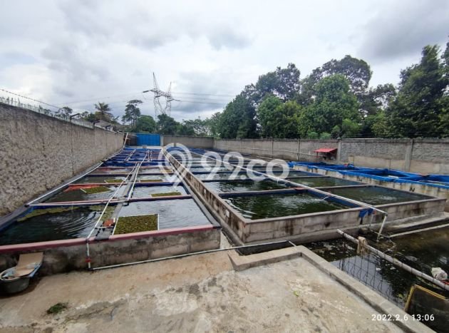 Tanah Area Berkembang Kawasan Ciseeng, Luas 800m2m², Ideal untuk Usaha Tanah Area Berkembang Kawasan Ciseeng, Luas 800m2m², Ideal untuk Usaha