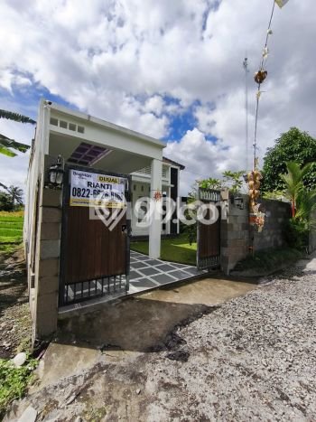 Rumah Minimalis 3 KT di Tunjuk Tabanan Rumah Minimalis 3 KT di Tunjuk Tabanan
