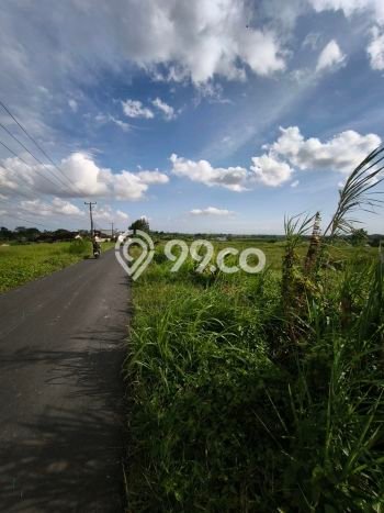 Disewakan Tanah di Kaba kaba Tabanan Seluas 6400m2 Disewakan Tanah di Kaba kaba Tabanan Seluas 6400m2