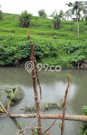 Tanah Area Prospektif di Saba, Luas 150m2m², Dekat ke Fasilitas Umum, Dekat Saba, Gianyar, Gianyar Tanah Area Prospektif di Saba, Luas 150m2m², Dekat ke Fasilitas Umum, Dekat Saba, Gianyar, Gianyar