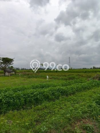 Tanah untuk Dijual di Mengwi Badung Luas 100m2 Tanah untuk Dijual di Mengwi Badung Luas 100m2