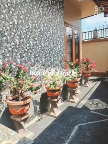 Kesempatan Memiliki Rumah 5 Kamar Tidur dan 3 Kamar Mandi di Munggu, Dekat Pusat Kota, Badung Kesempatan Memiliki Rumah 5 Kamar Tidur dan 3 Kamar Mandi di Munggu, Dekat Pusat Kota, Badung