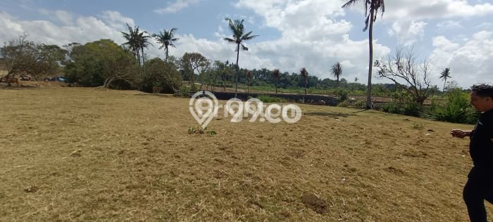 Tanah Dijual Area Strategis di Saba Gianyar 873m2 Tanah Dijual Area Strategis di Saba Gianyar 873m2